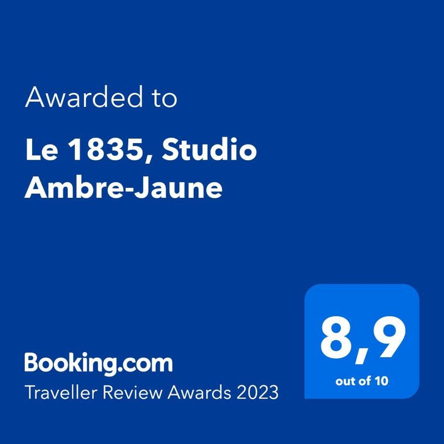 Le 1835, Studio Ambre-Jaune Мустье-Сент-Мари Экстерьер фото